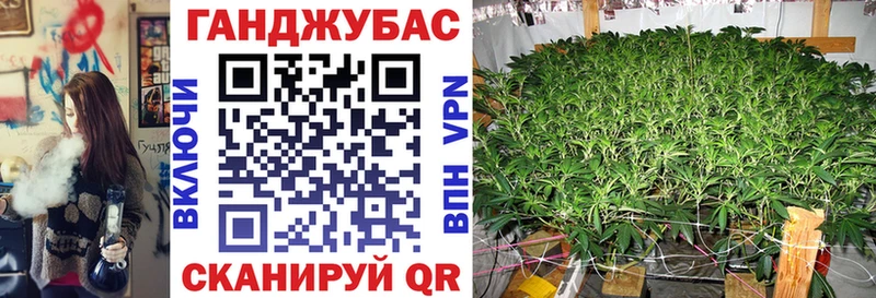 Канабис семена  Купить где  Солигалич 